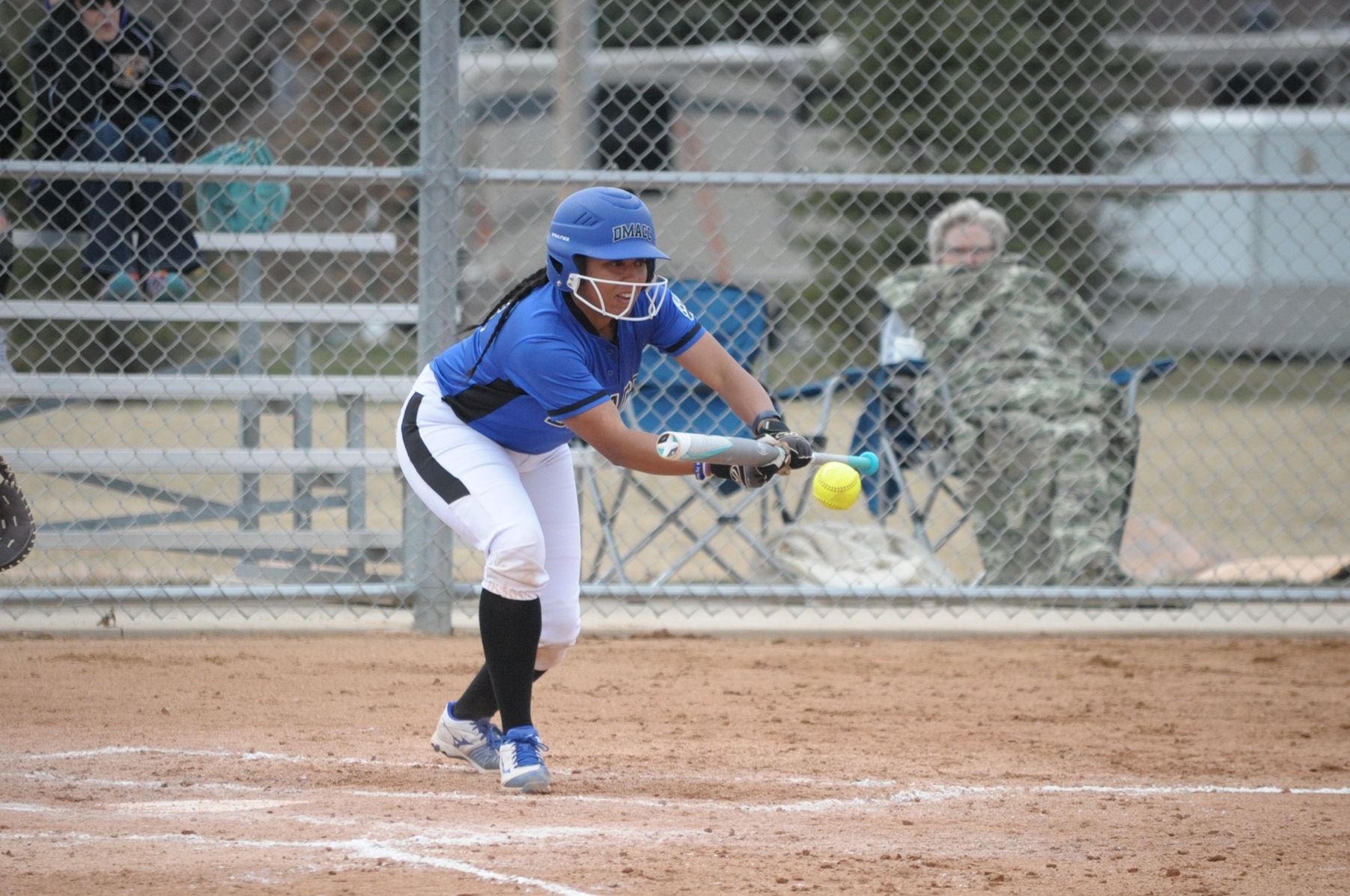 Bears Improves to 34-0 with Six-Game Sweep