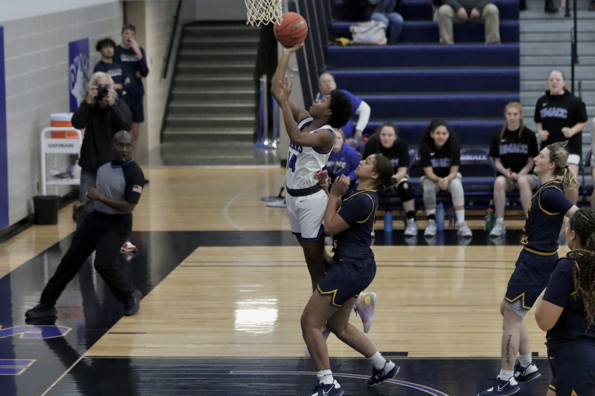 Lakers End Bears Six Game Winning Streak