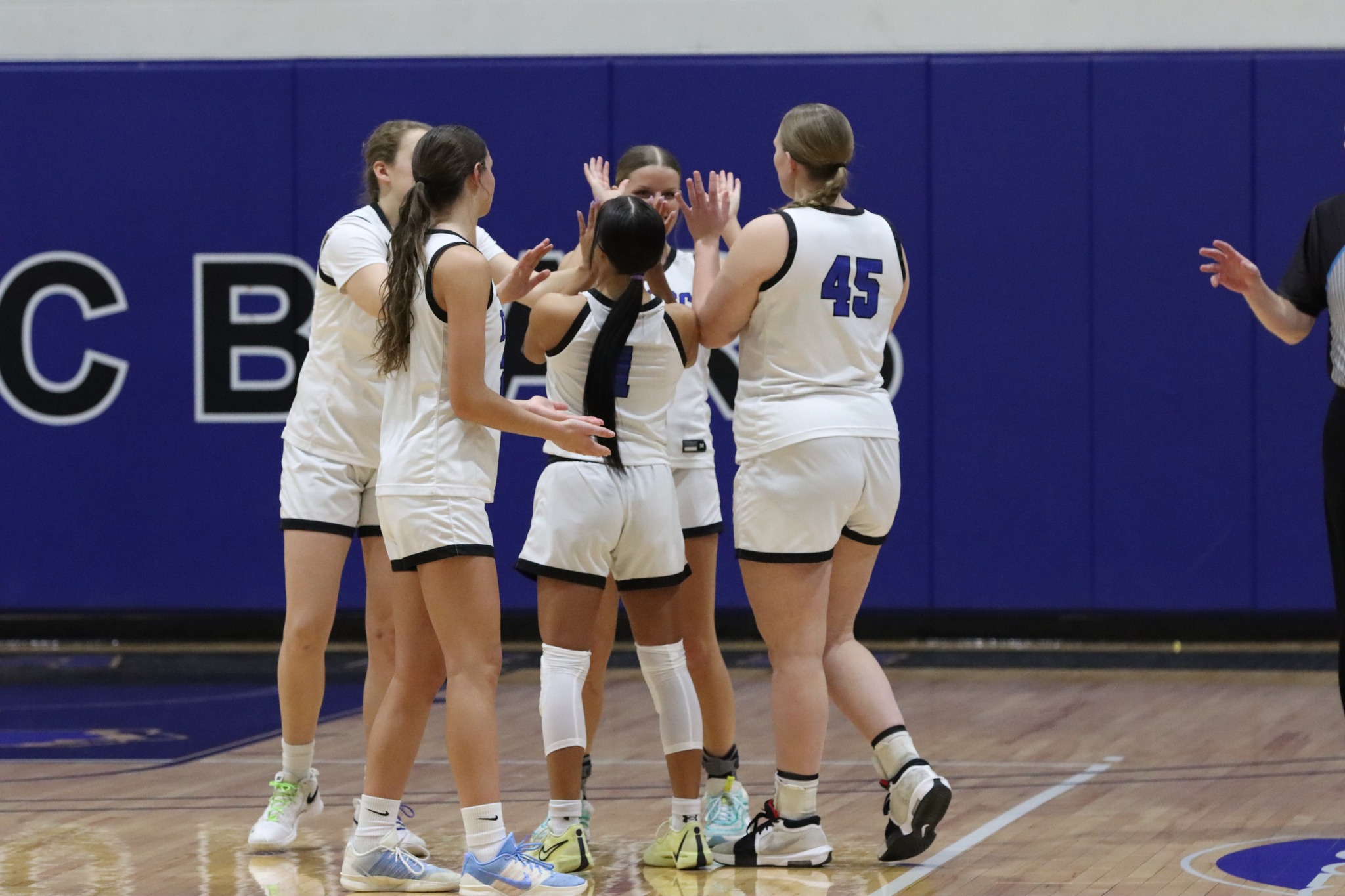 DMACC women's basketball team set to face Monroe County CC in national tournament