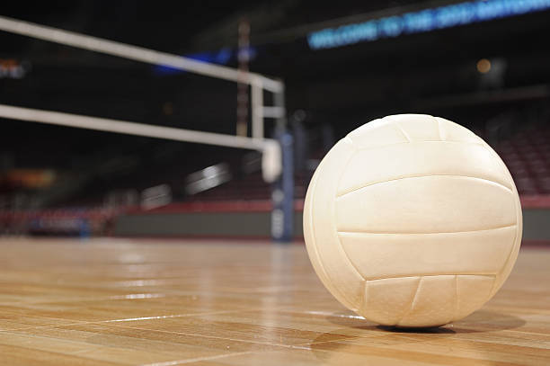 DMACC VOLLEYBALL TEAM DROPS SEASON OPENER TO KIRKWOOD
